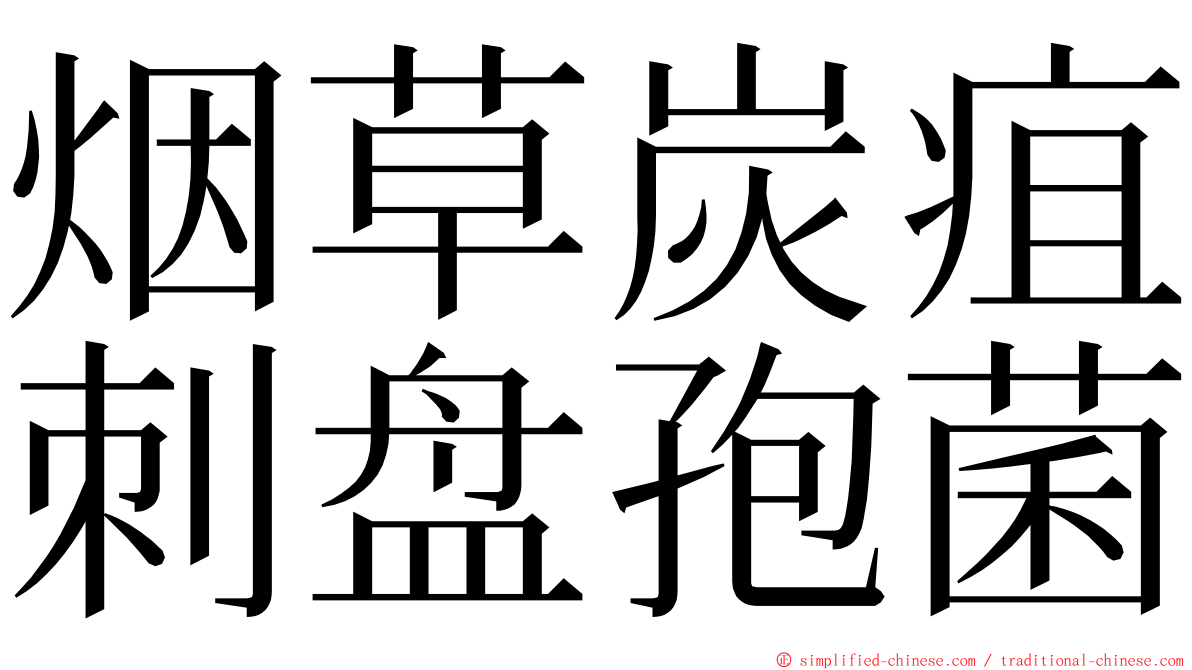 烟草炭疽刺盘孢菌 ming font