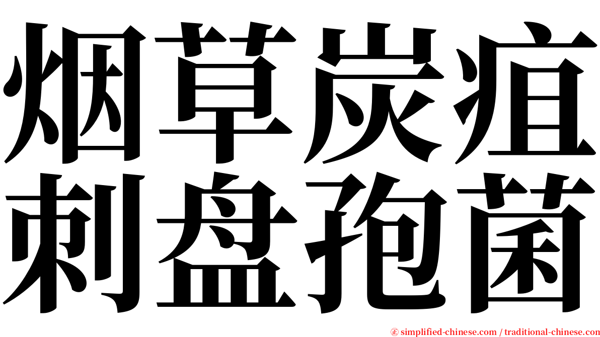 烟草炭疽刺盘孢菌 serif font