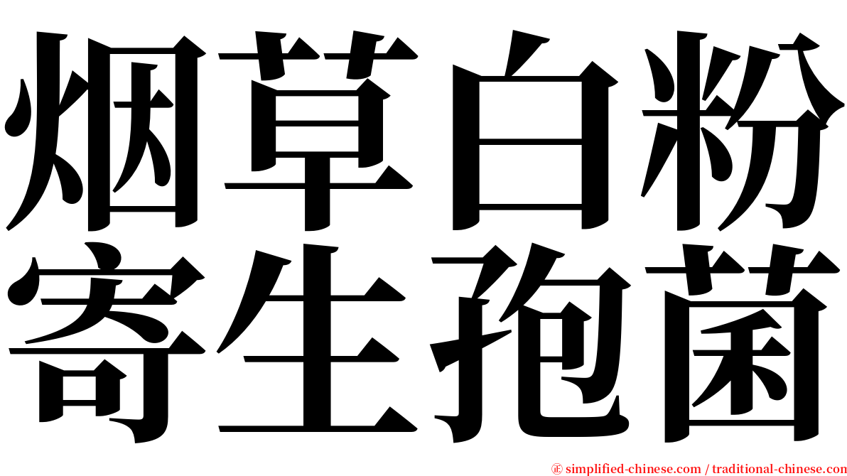 烟草白粉寄生孢菌 serif font