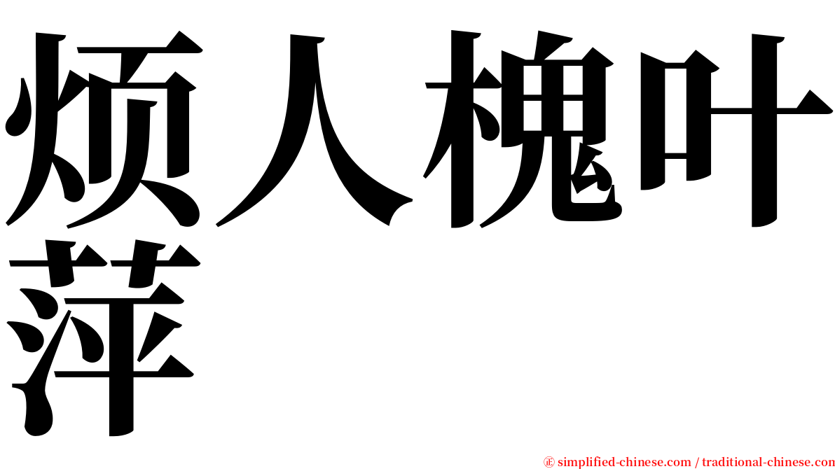 烦人槐叶萍 serif font