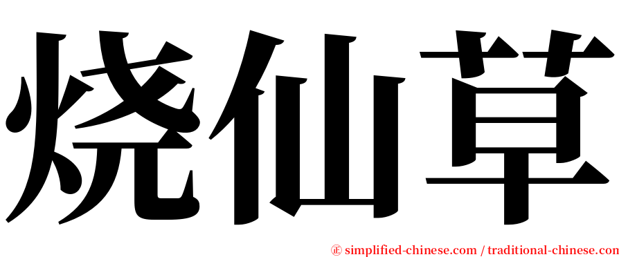 烧仙草 serif font