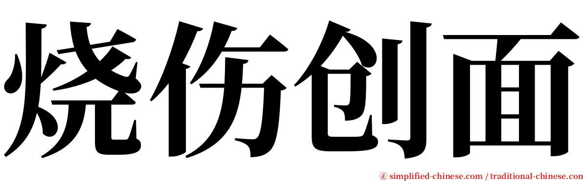 烧伤创面 serif font