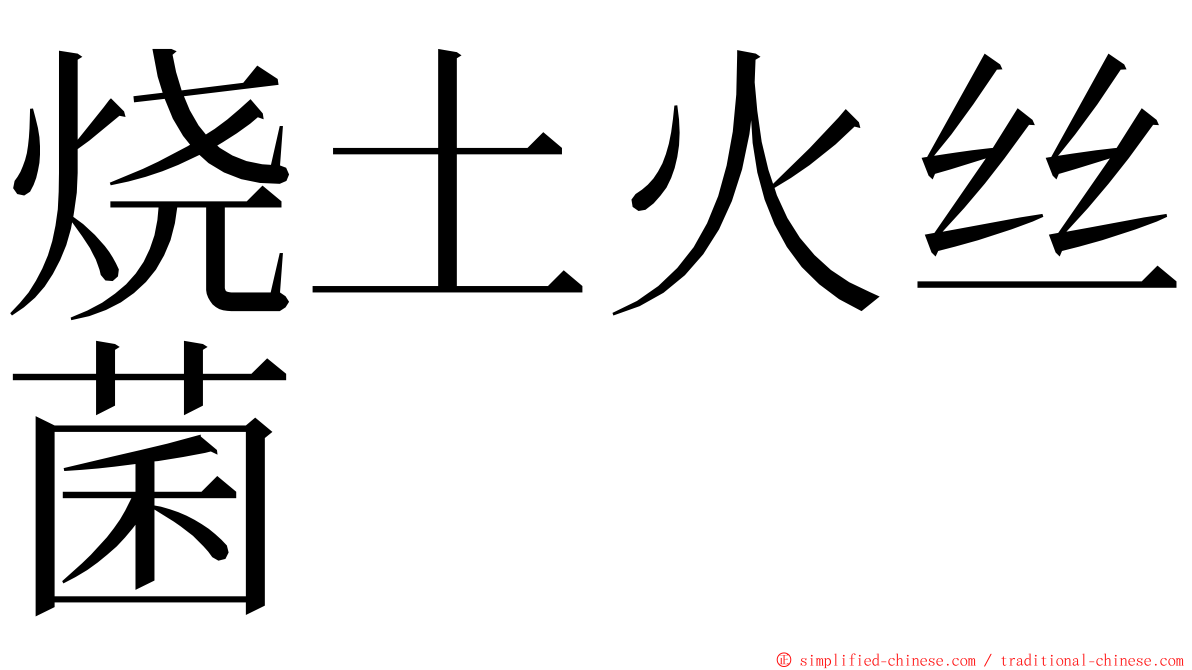 烧土火丝菌 ming font