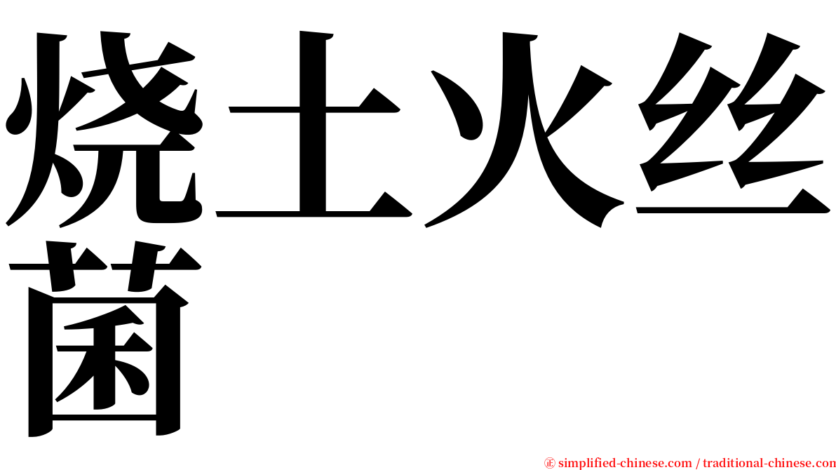 烧土火丝菌 serif font