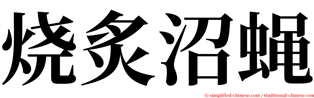 烧炙沼蝇 serif font