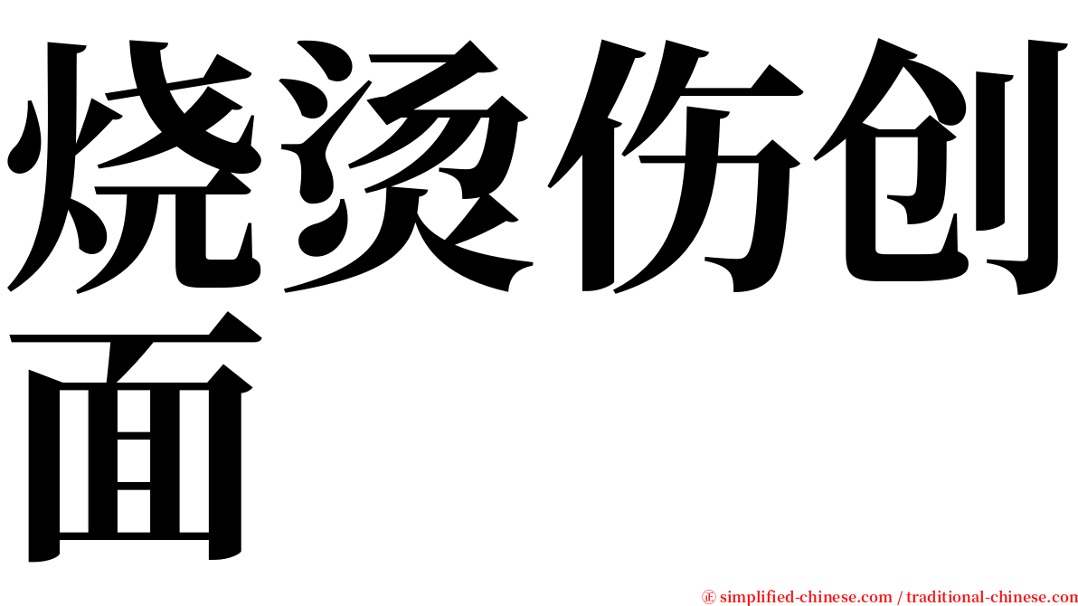 烧烫伤创面 serif font