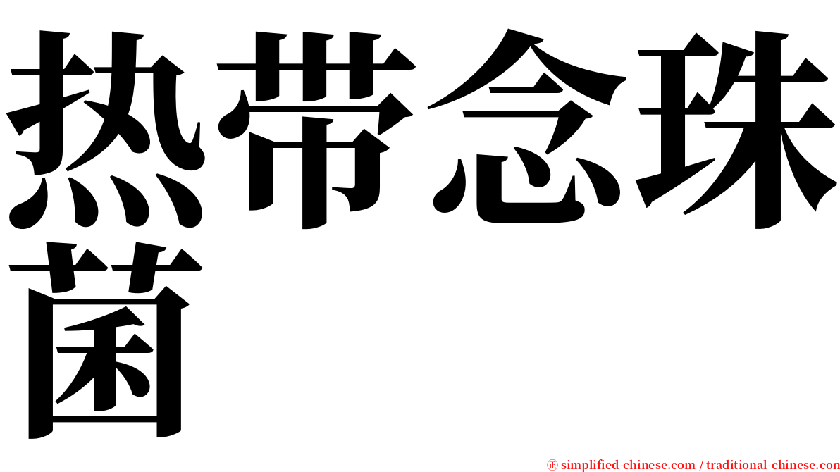 热带念珠菌 serif font