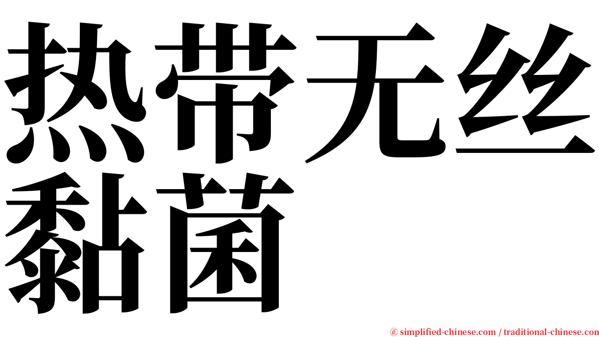 热带无丝黏菌 serif font