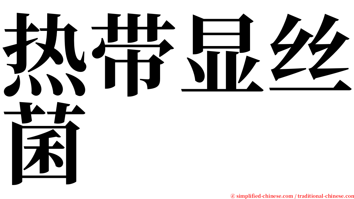 热带显丝菌 serif font