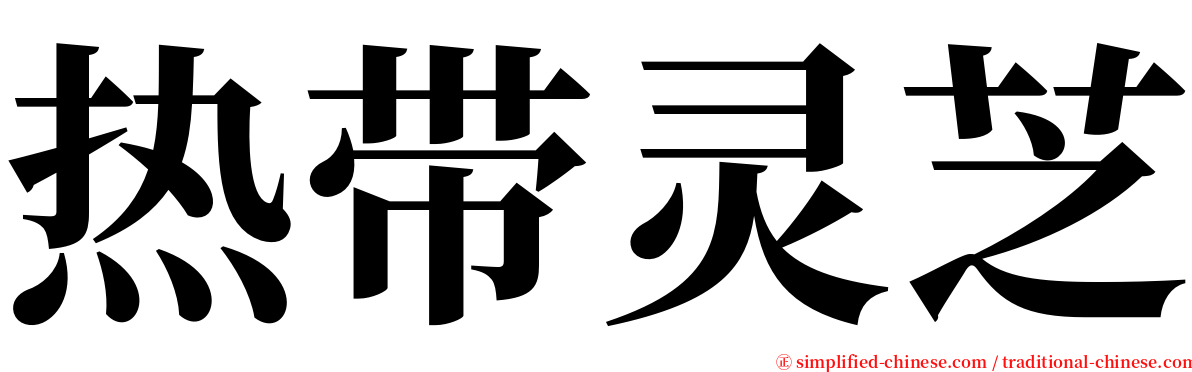 热带灵芝 serif font