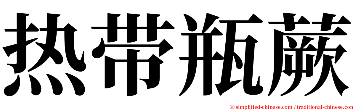 热带瓶蕨 serif font