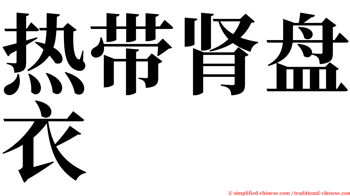 热带肾盘衣 serif font