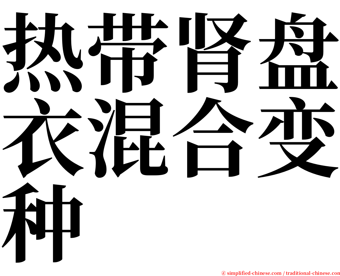 热带肾盘衣混合变种 serif font