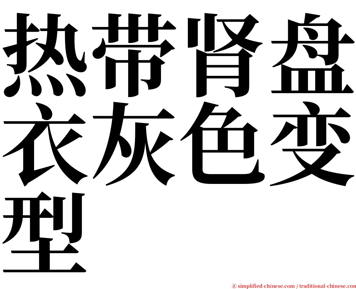 热带肾盘衣灰色变型 serif font