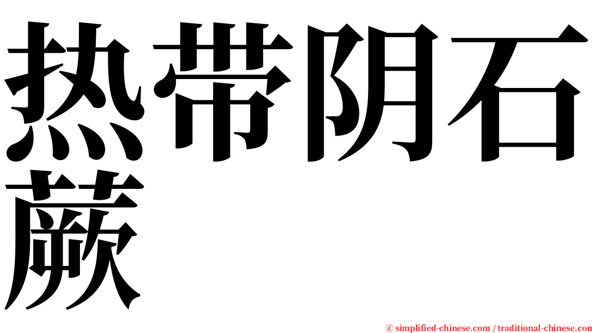 热带阴石蕨 serif font