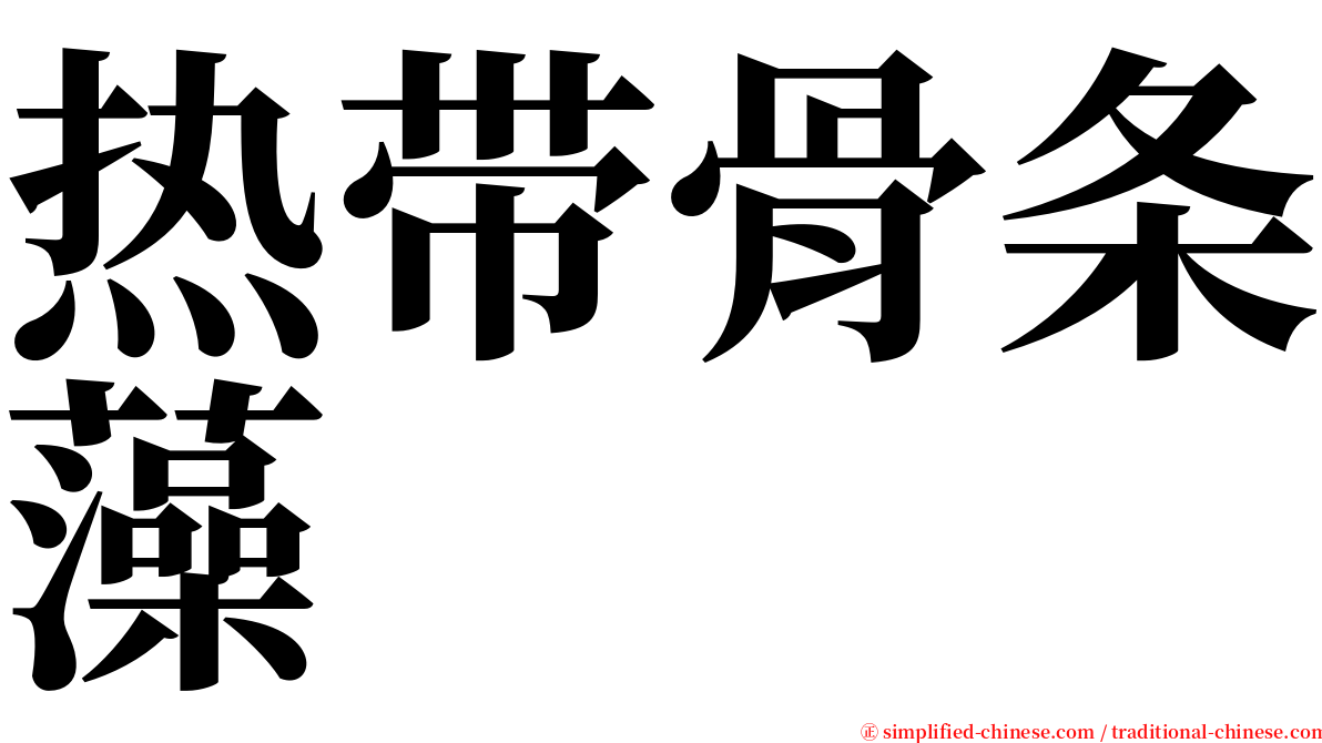 热带骨条藻 serif font