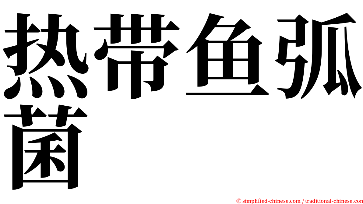 热带鱼弧菌 serif font