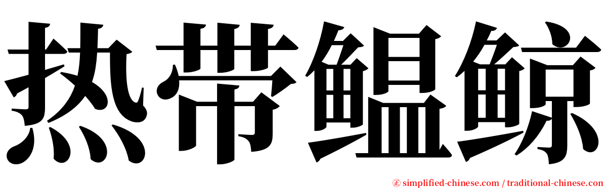 热带鳁鲸 serif font