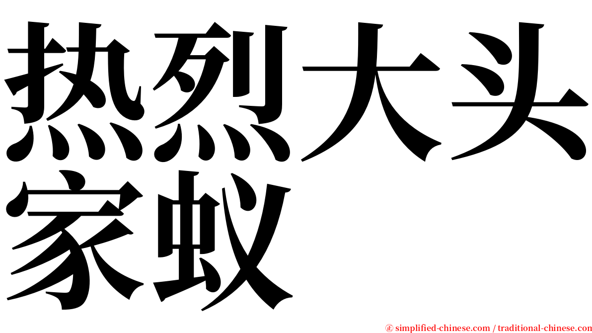 热烈大头家蚁 serif font