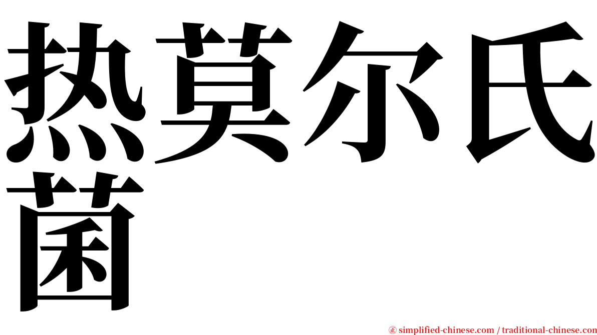 热莫尔氏菌 serif font