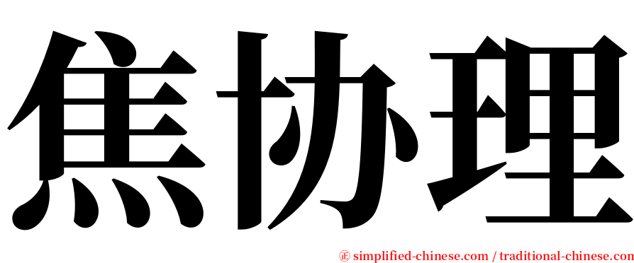 焦协理 serif font