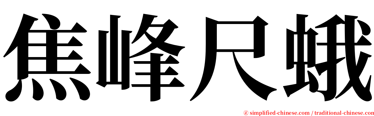 焦峰尺蛾 serif font