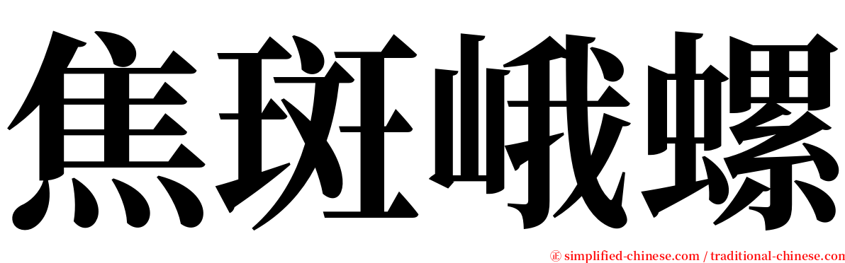 焦斑峨螺 serif font