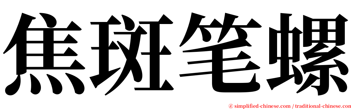 焦斑笔螺 serif font