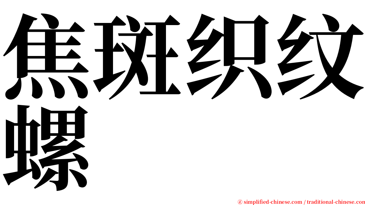 焦斑织纹螺 serif font