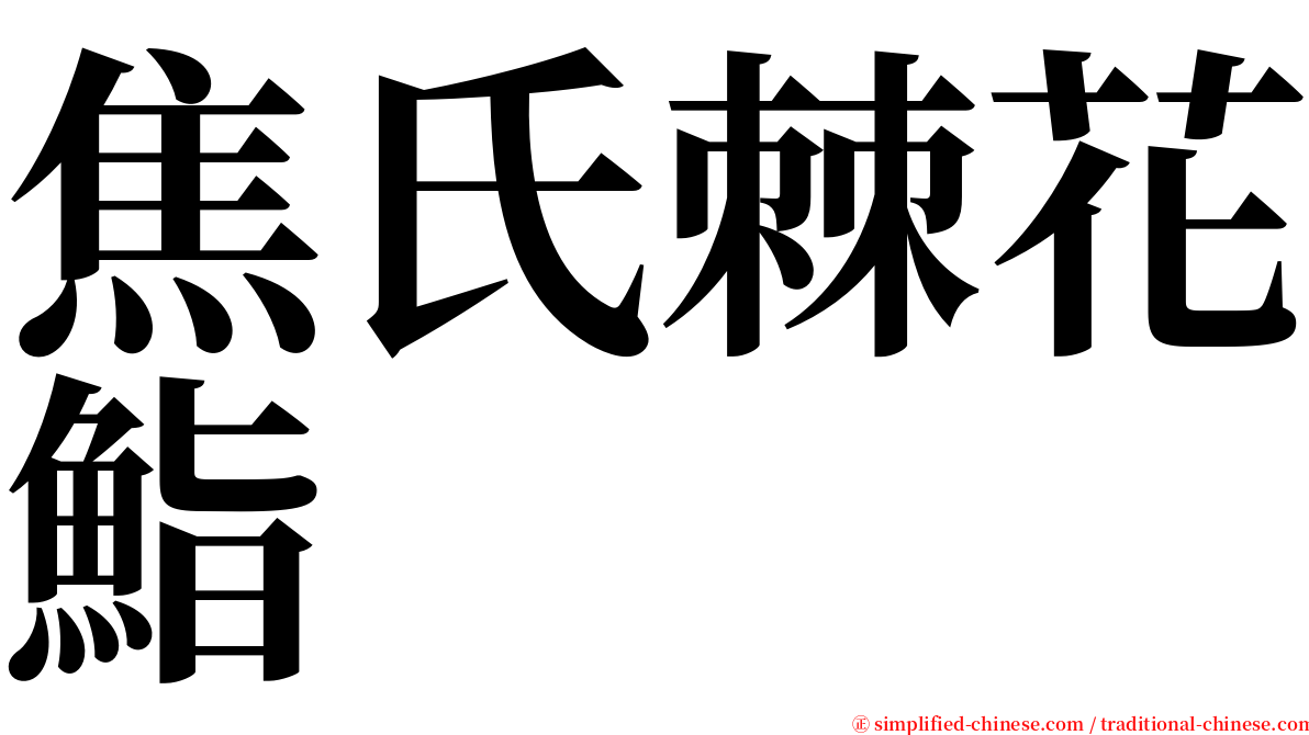 焦氏棘花鮨 serif font