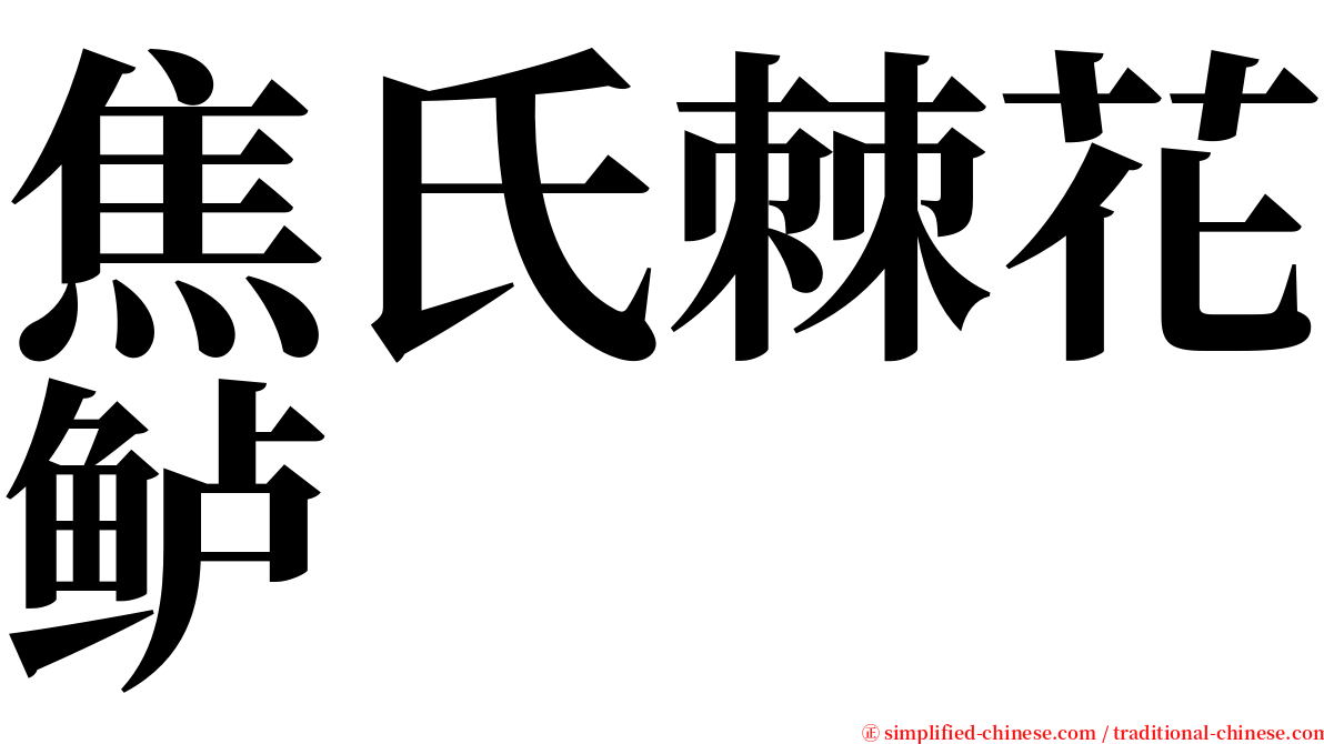 焦氏棘花鲈 serif font