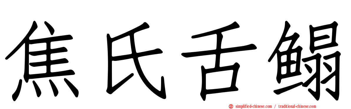 焦氏舌鳎