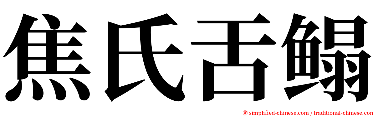 焦氏舌鳎 serif font