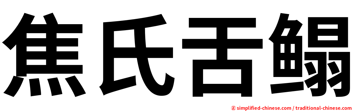 焦氏舌鳎