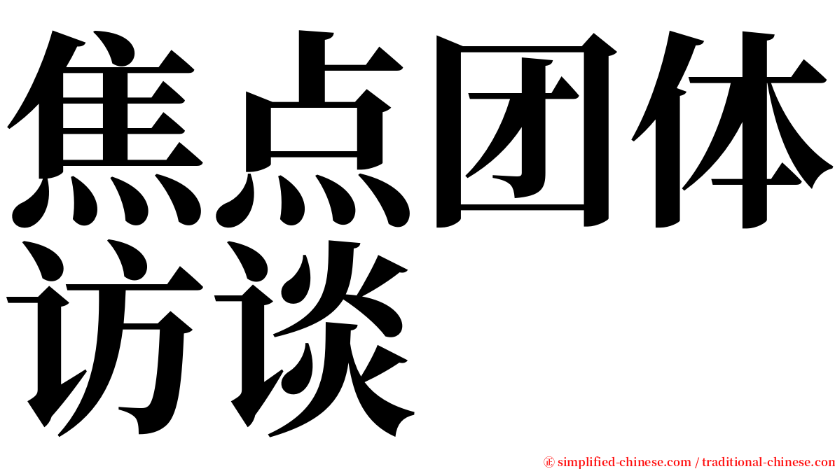 焦点团体访谈 serif font