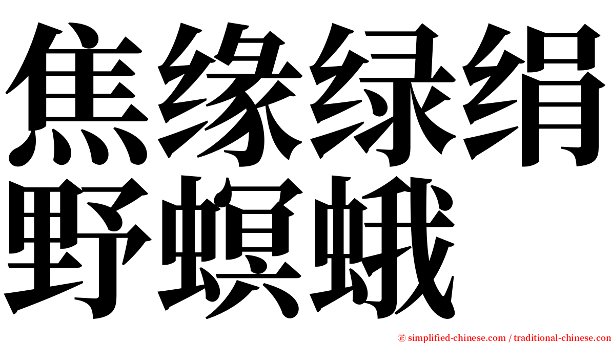 焦缘绿绢野螟蛾 serif font