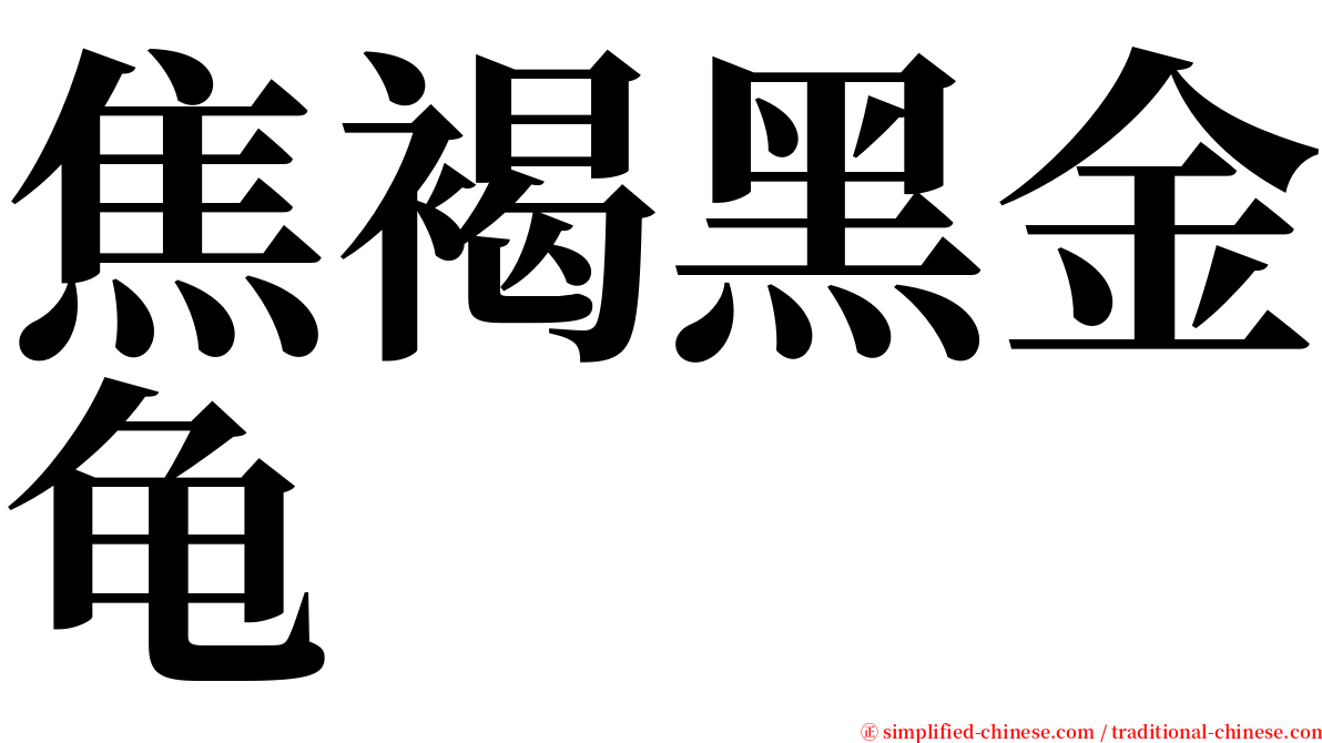 焦褐黑金龟 serif font