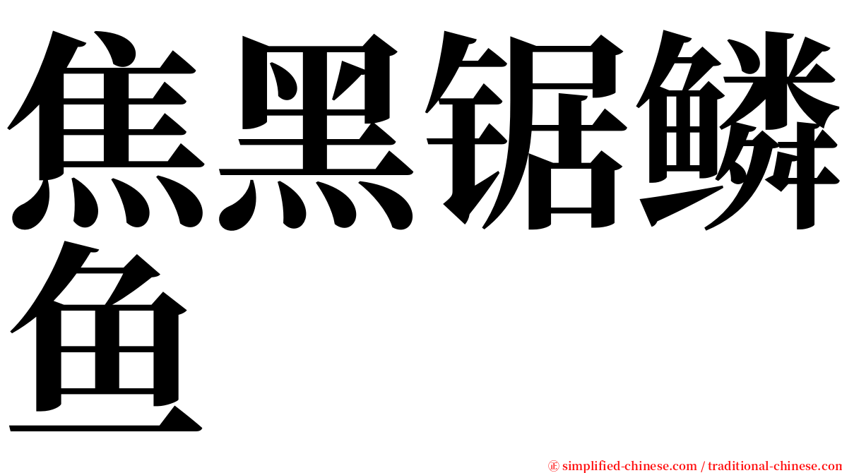 焦黑锯鳞鱼 serif font