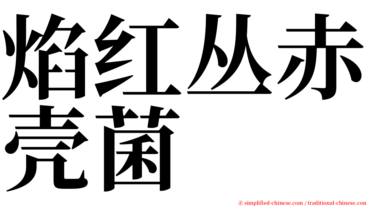 焰红丛赤壳菌 serif font