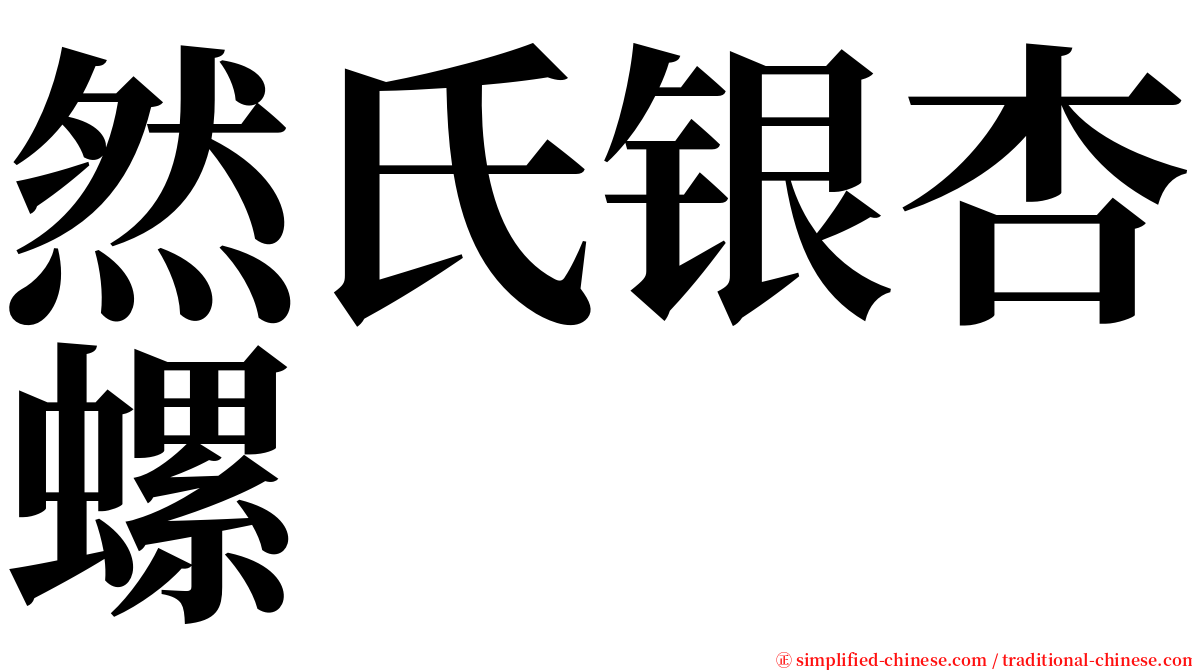 然氏银杏螺 serif font