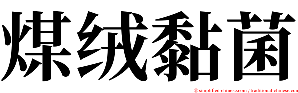 煤绒黏菌 serif font