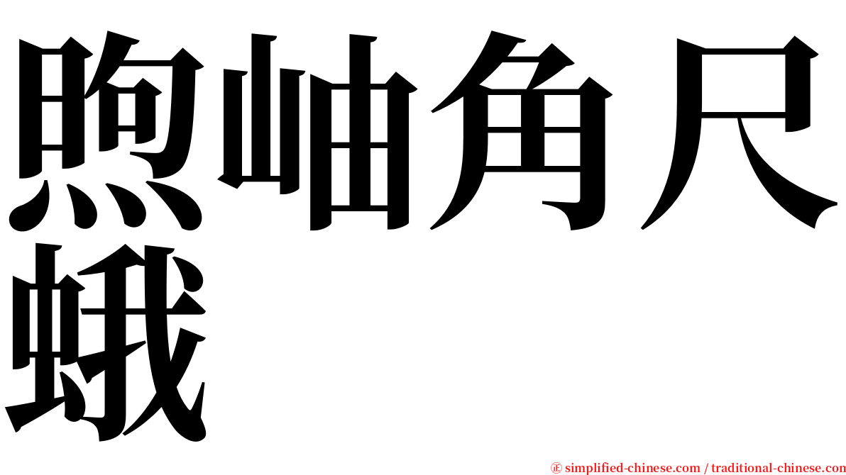 煦岫角尺蛾 serif font