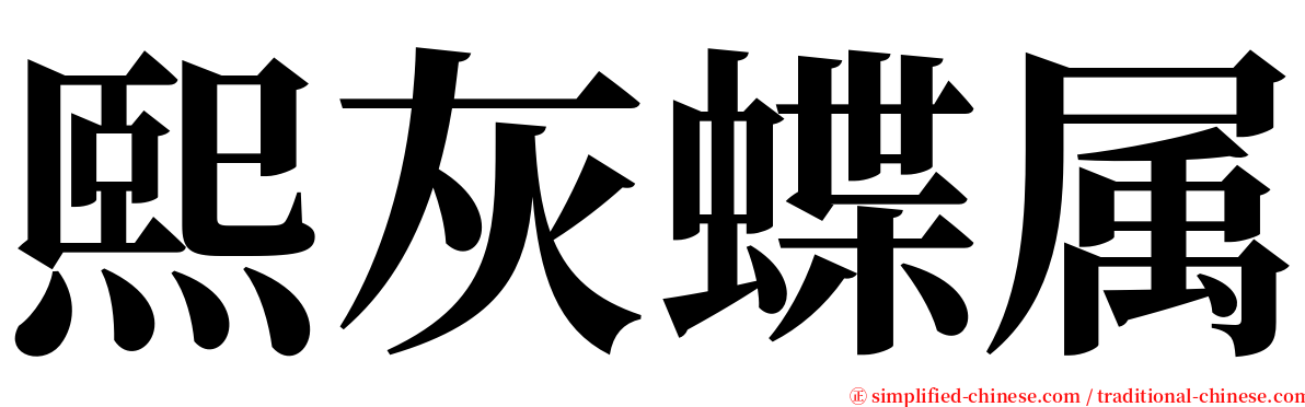 熙灰蝶属 serif font