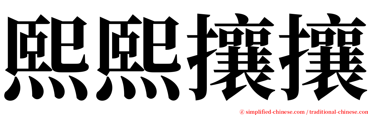 熙熙攘攘 serif font
