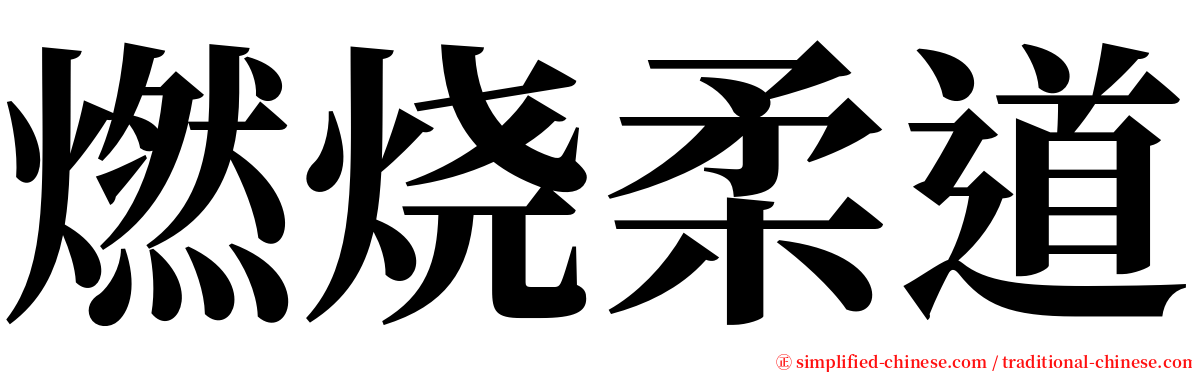 燃烧柔道 serif font