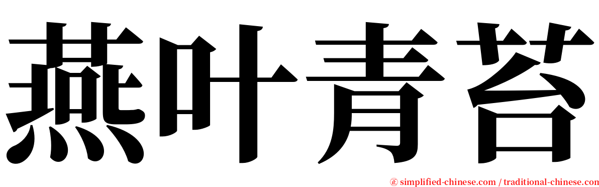 燕叶青苔 serif font