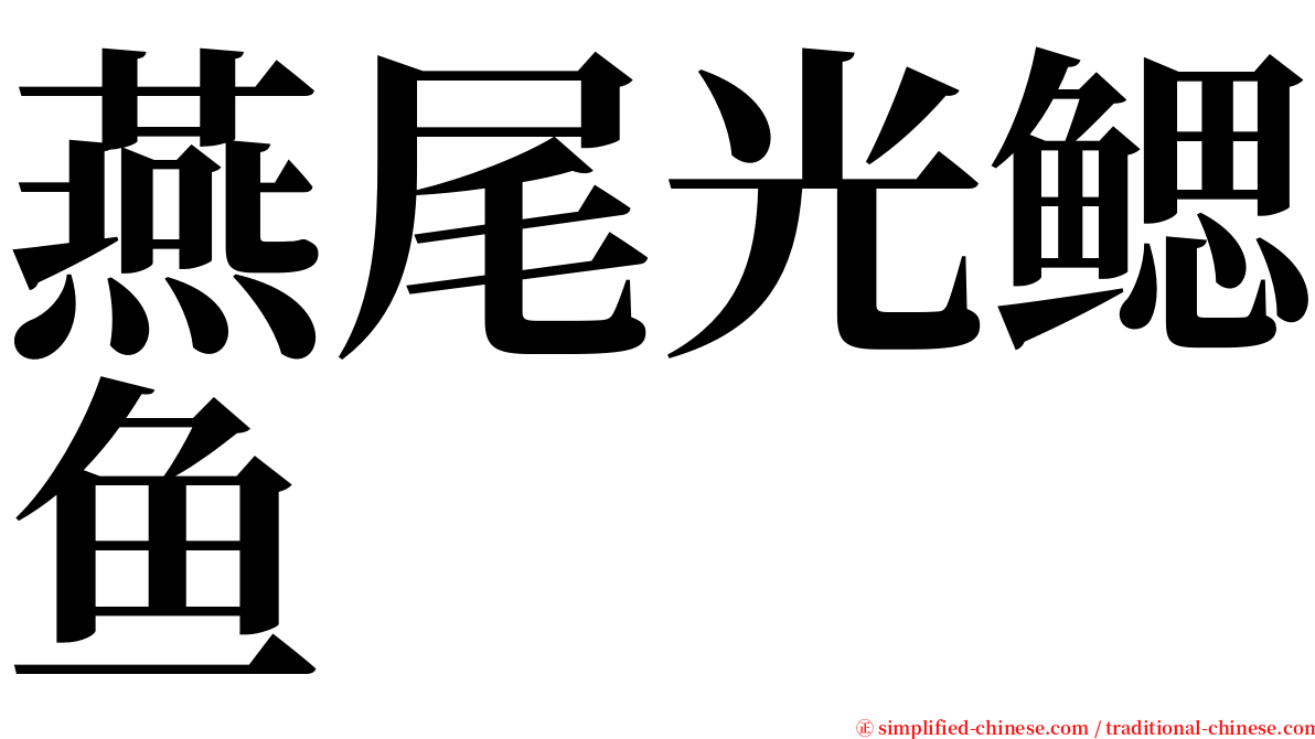 燕尾光鳃鱼 serif font