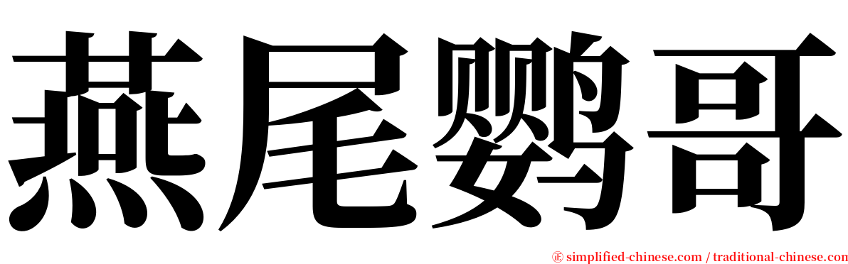 燕尾鹦哥 serif font