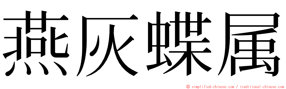 燕灰蝶属 ming font