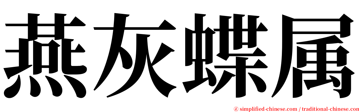 燕灰蝶属 serif font